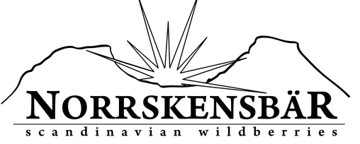 Norrsken